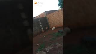 Cunhado Viado 2 Kkk
