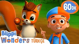 Blippi Ve Sincap Ile Fındık Avı Blippi Türkçe - Çocuklar Için Eğitici Videolar