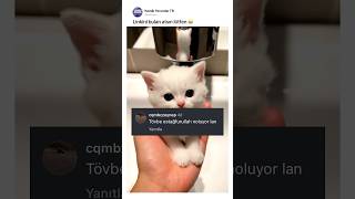 Ne Tatlı Bir Şey Çıktı Ordan