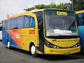 Koleksi Bis Bis PO di Indonesia (Bismania)