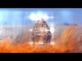 Go Video preview