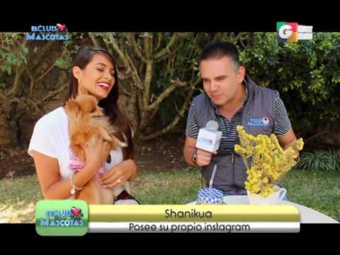#LaNotaCDM Jessica Scheel - Club de las Mascotas