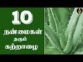 katralai benefits in Tamil | சோற்று கற்றாழை பயன்கள் | Katralai uses | Sotru katralai payangal