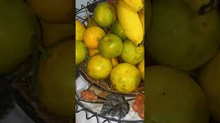 Mandalina Sezonu Açılmıştır