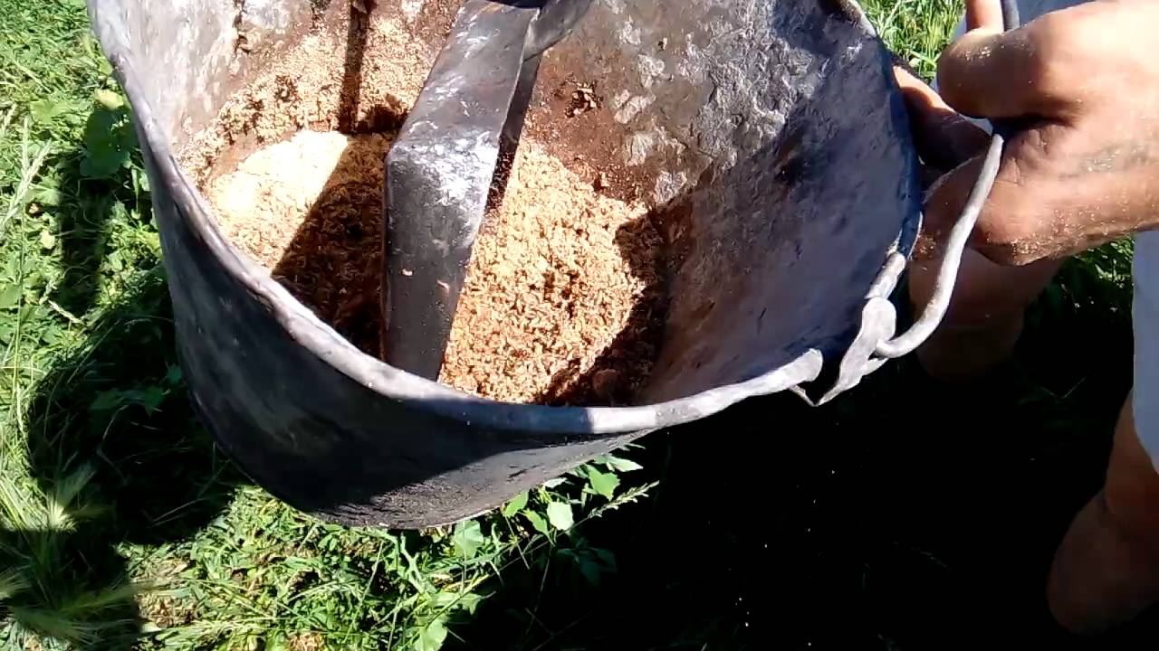Опарыш в домашних условиях метод чистые руки