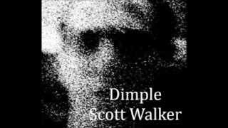 Watch Scott Walker Dimple video