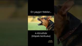 En Yaygın Görülen Fobiler.. Daha Detaylı Bir Video Yakında Sizlerle Abone Olun