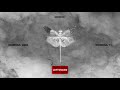 Domnul Udo - AUR (Audio)
