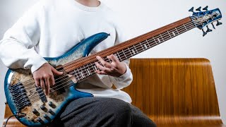 When You Need To Play Fretted B And Fretless B At The Same Time