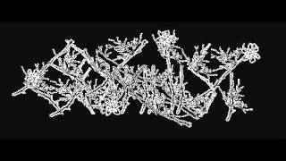 Watch Botanist Lepidoptera video