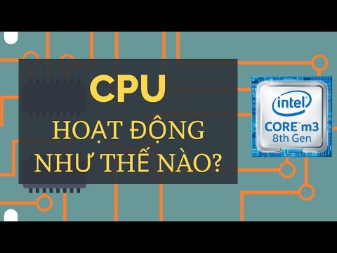 BỘ VI XỬ LÝ TRUNG TÂM (CPU) HOẠT ĐỘNG NHƯ THẾ NÀO - KHOA HỌC MÁY TÍNH TẬP 7 | Tri thức nhân loại
