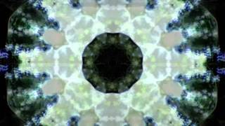 Watch Church Lizard video