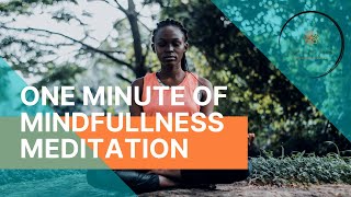 Meditation, one minute of guided mindfulness meditation for you and the student of my class