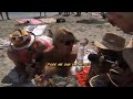 Xupla & II na Praia em Ibiza - Pnico na Band - 