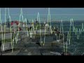 Wave Organ Visualized