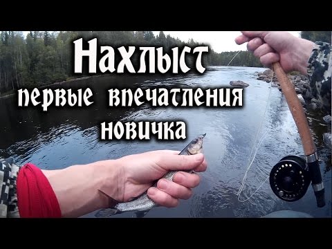 нахлыст начинающий нахлыст начинающий
