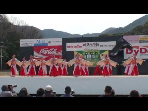 よさこい菊舞遊会　～川棚温泉 舞龍祭2011