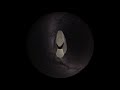 Unity Fulldome animation test