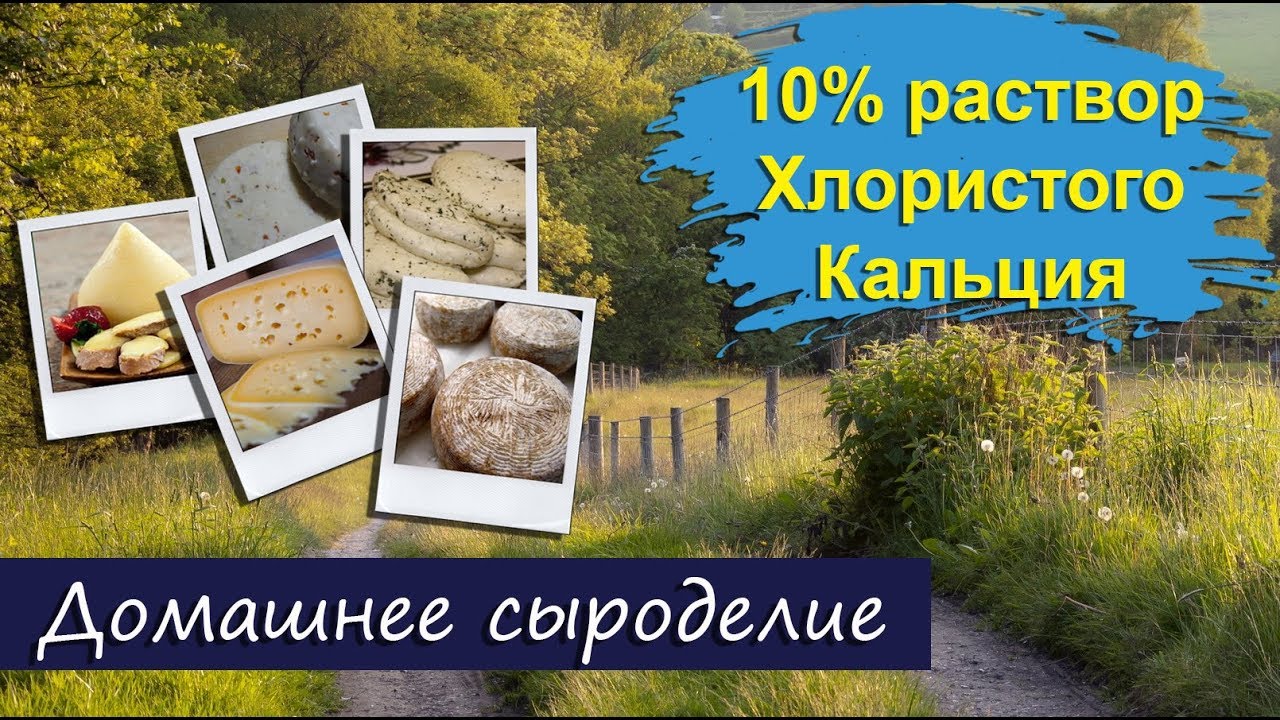 Как сделать сыр с хлористым кальцием 479