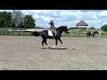 Video 2013 Харьковский конный завод