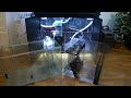 Reef Aquarium Filtration Options