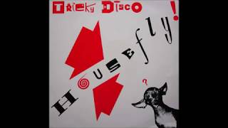 Tricky Disco - House Fly (Original Mix)