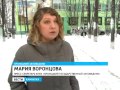 Молодая рысь освоилась у инспекторского кордона