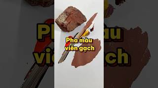 Thách Soái Ca Pha Màu Viên Gạch Không Pha Được Màu Là Bị Chọi Vô Đầu