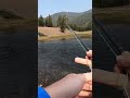 Fish on!!! #yellowstone #yellowstonenationalpark  #gopro #flyfishing
