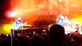 Watch Chickenfoot Avenida Revolucion video