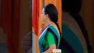 Bhagyalakshmi Serial Aunty Hot Side View