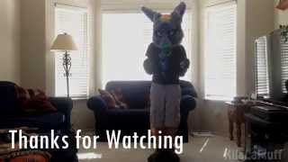 Fursuit FreeStyle Dance Black Coast -TRNDSTTR (Lucian Remix)