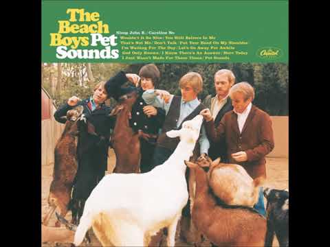 The B̲each B̲oys - P̲et S̲ounds (Full Album) 1966