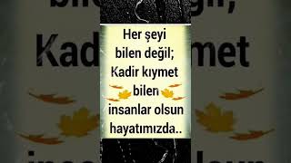 Sevgi Için Whatsapp Durum Whatsapp Status Whatsapp Story Instagram Tiktok Video Sevgi Aşk Love