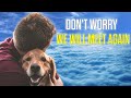 Man Cried by What He Saw His Pets Doing in Heaven | Near Death Experience