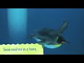 BP Oil Spill Public Service Announcement