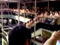 1300 Frateran SIAP PERANG!!!