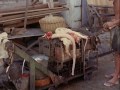 Mondo Cane 1962 ENG Dub HD