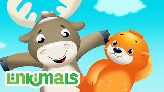 Chanson Du Opposites - Chansons Enfants Dessin Animé Enfant Fisher-Price Linkimals