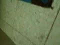 هيي ورعان