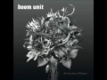 Doom Unit - My Disguise