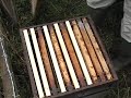 Treating Honey Bees By Dribbling Oxalic Acid images Treating Honey Bees By Dribbling Oxalic Acid