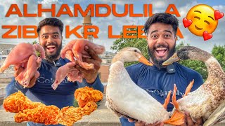 Alhamdulillah Kia Ducks Ko Zuba Kar Diya ? Aur Broast Banaa Liya Syed Fahad The Fun Fin