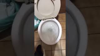 Rare 1999 Lamosa Sahara Toilet On Flushomter