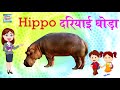 50 Animals Names In Hindi | जानवरों के नाम | Hindi Mein Praniyo Ke Naam | प्राणियों के नाम हिंदी में