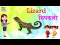 50 Animals Names In Hindi | जानवरों के नाम | Hindi Mein Praniyo Ke Naam | प्राणियों के नाम हिंदी में