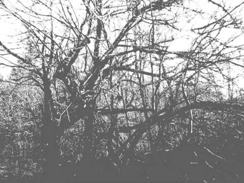 Eerie Halloween Music..