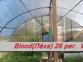 Сшить свитшот на мальчика своими руками 32