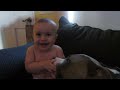 Cutest Pets & Animals of the Week Compilation August 2018 | Funny Pet Videos