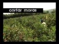La Ruta del Yalu